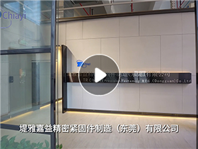 堤雅嘉益精密紧固件（东莞）有限公司